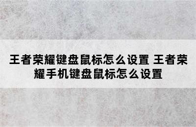 王者荣耀键盘鼠标怎么设置 王者荣耀手机键盘鼠标怎么设置